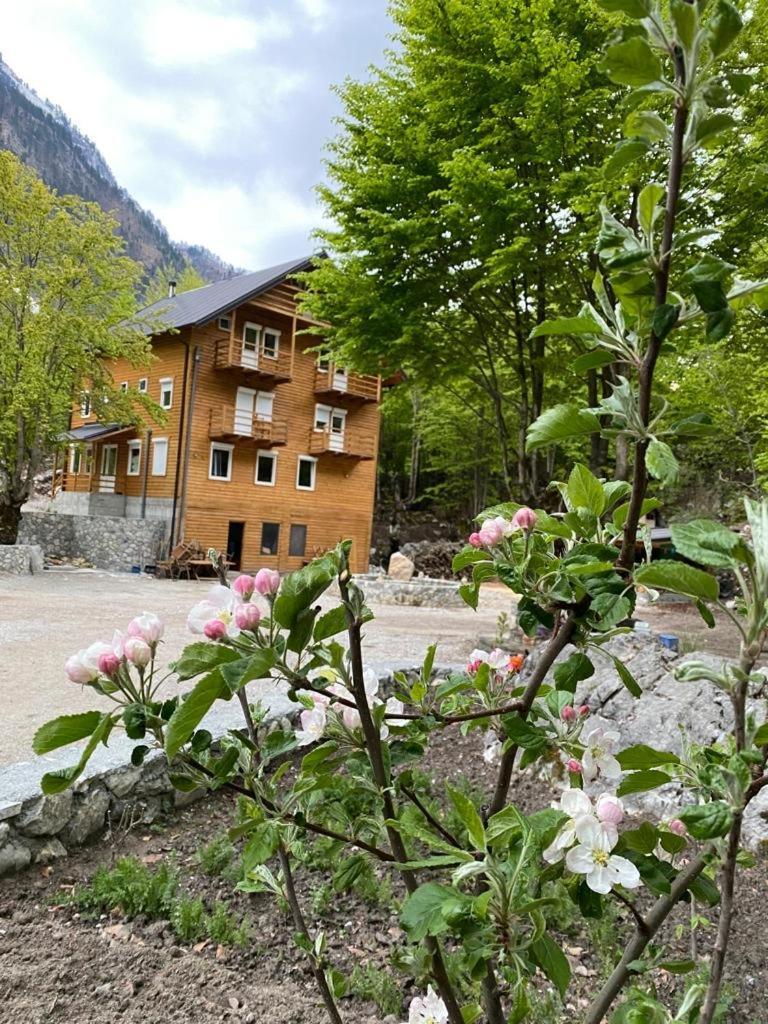 Adenisi Guesthouse Tropoje Екстериор снимка